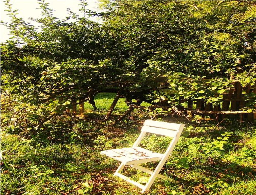 Le Moulin Fleuri Du Petit Appeville Екстериор снимка